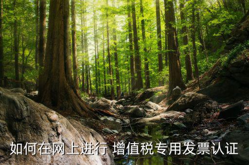 增值稅專用票如何在網(wǎng)上申請，購買增值稅專用發(fā)票要先在網(wǎng)上怎么操作