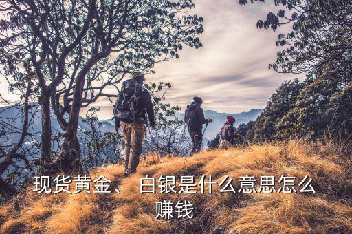  現(xiàn)貨黃金、 白銀是什么意思怎么 賺錢