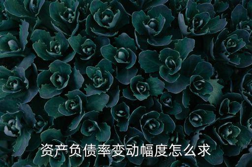 資產(chǎn)負(fù)債率變動幅度怎么求