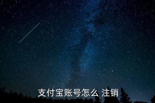  支付寶賬號(hào)怎么 注銷(xiāo)