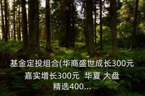 基金定投組合(華商盛世成長(zhǎng)300元 嘉實(shí)增長(zhǎng)300元  華夏 大盤 精選400...