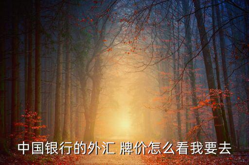 中國銀行的外匯 牌價(jià)怎么看我要去