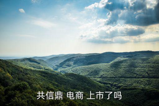 電商怎么上市,南極電商在納斯達克上市騰訊、慧聰網香港上市