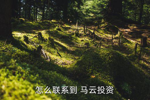 怎么像馬云貸款,沒有馬云時代，只有錢花時代怎么找投資人?