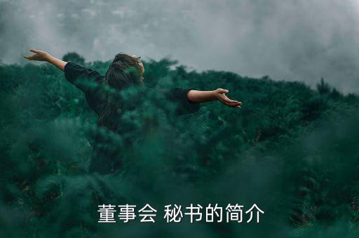  董事會(huì) 秘書的簡介