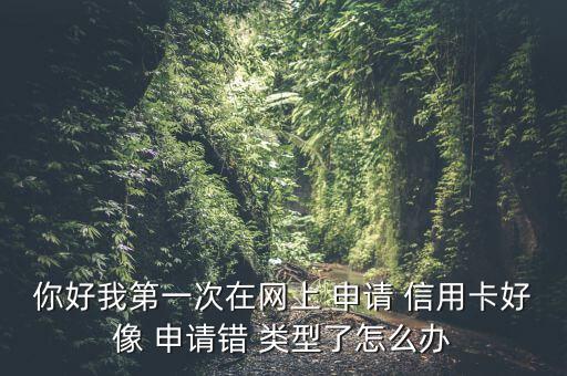 你好我第一次在網(wǎng)上 申請(qǐng) 信用卡好像 申請(qǐng)錯(cuò) 類(lèi)型了怎么辦