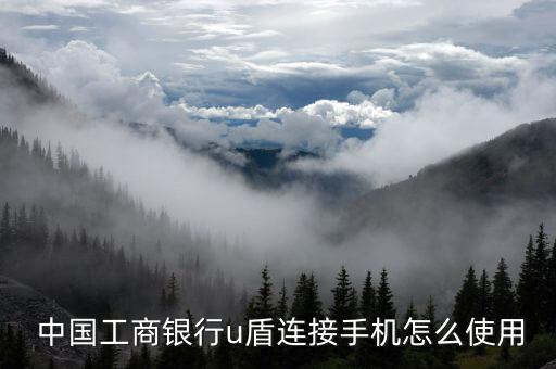 中國工商銀行u盾怎么用,下載證件信息并申請(qǐng)u盾!步驟如下