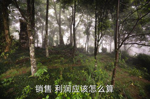 銷(xiāo)售 利潤(rùn)應(yīng)該怎么算