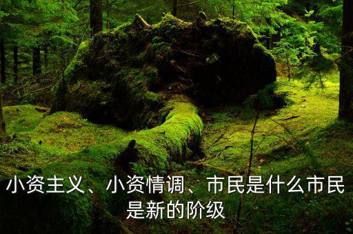 小資主義、小資情調(diào)、市民是什么市民是新的階級