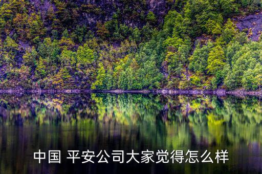 中國(guó) 平安公司大家覺(jué)得怎么樣