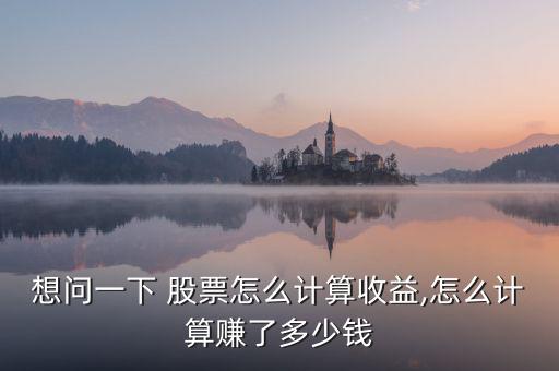 想問(wèn)一下 股票怎么計(jì)算收益,怎么計(jì)算賺了多少錢(qián)