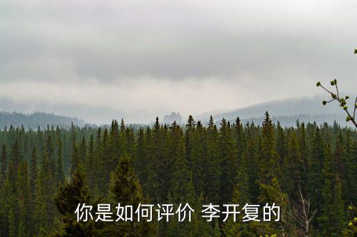 李開(kāi)復(fù)初怎么樣患癌,我和李開(kāi)復(fù)的創(chuàng)新工廠(chǎng)沒(méi)有什么共同之處