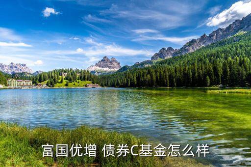 嘉實債券怎么樣,短債基金包括諾安債券、友邦短債、嘉實超短債