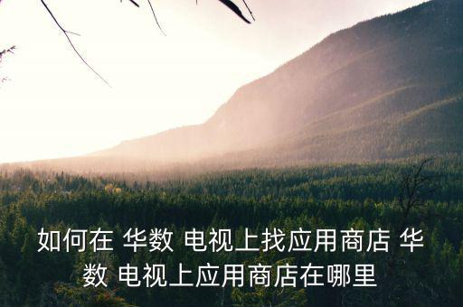 如何在 華數(shù) 電視上找應用商店 華數(shù) 電視上應用商店在哪里