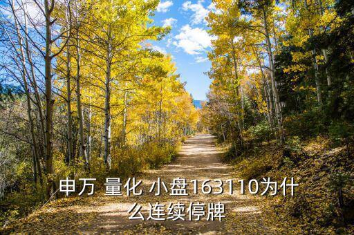  申萬(wàn) 量化 小盤(pán)163110為什么連續(xù)停牌