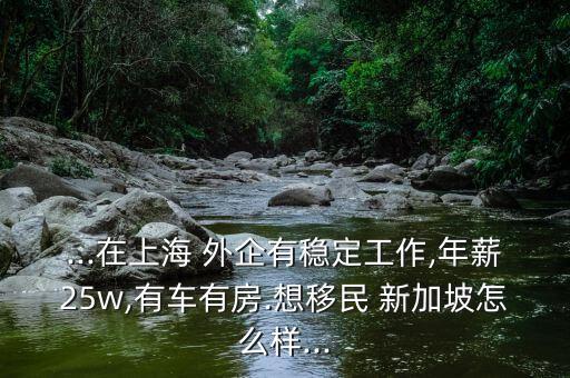 ...在上海 外企有穩(wěn)定工作,年薪25w,有車(chē)有房.想移民 新加坡怎么樣...