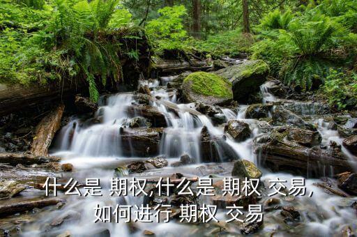 什么是 期權,什么是 期權 交易,如何進行 期權 交易