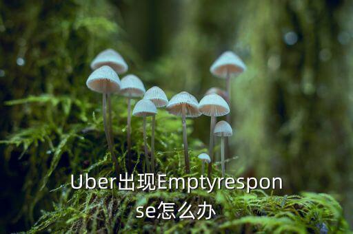 uber怎么了,美國(guó)打不到車(chē)可直接發(fā)郵件到uber說(shuō)明情況