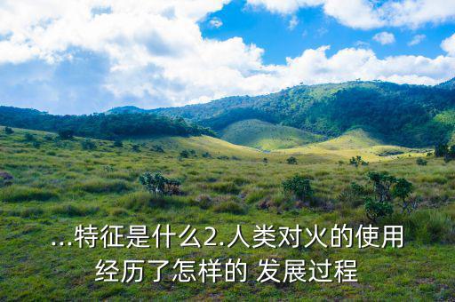 ...特征是什么2.人類(lèi)對(duì)火的使用經(jīng)歷了怎樣的 發(fā)展過(guò)程