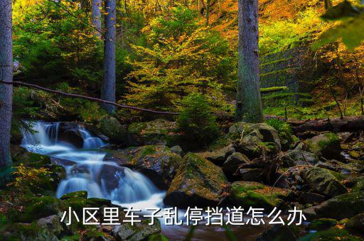  小區(qū)里車(chē)子亂停擋道怎么辦
