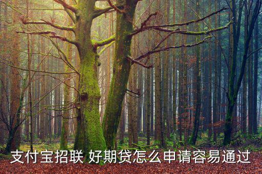 好期貸怎么借錢(qián),支付寶好期貸款怎么辦?