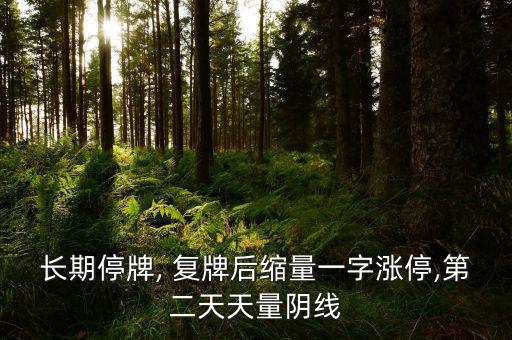 長(zhǎng)期停牌, 復(fù)牌后縮量一字漲停,第二天天量陰線(xiàn)