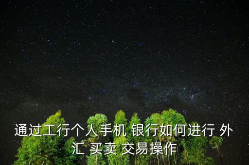 通過(guò)工行個(gè)人手機(jī) 銀行如何進(jìn)行 外匯 買(mǎi)賣(mài) 交易操作