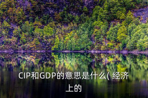 CIP和GDP的意思是什么( 經濟上的
