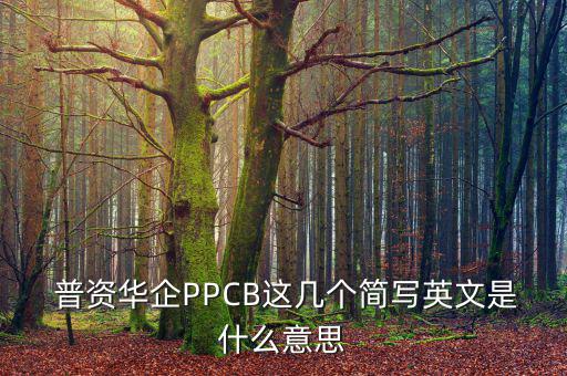  普資華企PPCB這幾個(gè)簡(jiǎn)寫英文是什么意思