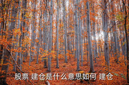 怎么建倉(cāng),股票做市商建倉(cāng):先尋找目標(biāo)股票再分批買入