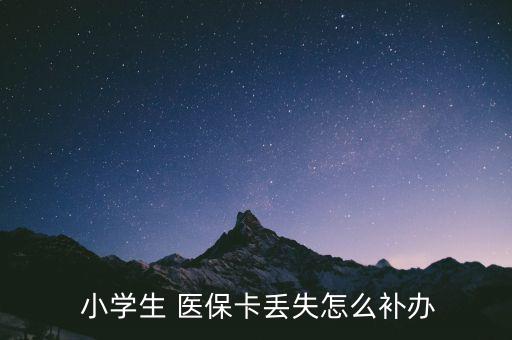  小學(xué)生 醫(yī)保卡丟失怎么補辦
