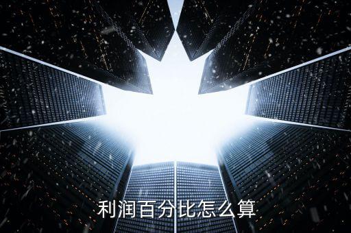 利潤占比怎么算,利潤率定義為經濟利潤"