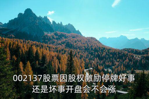 002137股票因股權(quán)激勵(lì)停牌好事還是壞事開(kāi)盤會(huì)不會(huì)漲