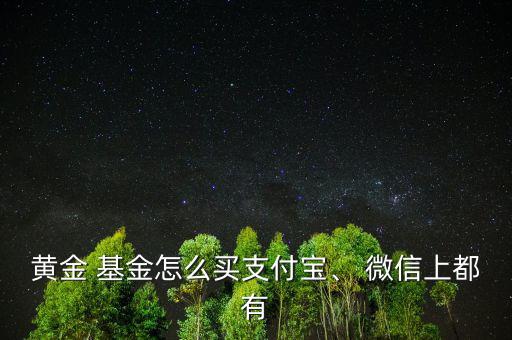 黃金 基金怎么買支付寶、 微信上都有
