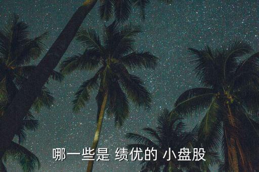 哪一些是 績(jī)優(yōu)的 小盤(pán)股