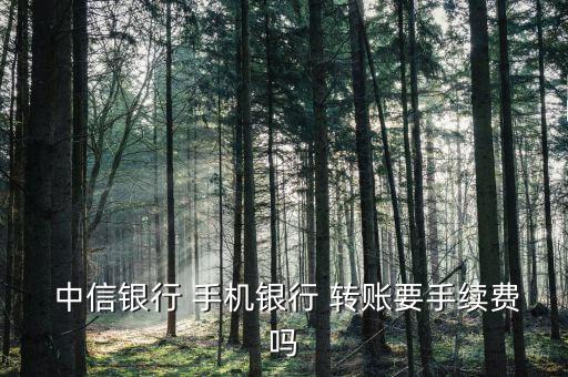  中信銀行 手機(jī)銀行 轉(zhuǎn)賬要手續(xù)費嗎