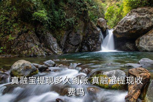  真融寶提現多久到賬 真融寶提現收費嗎