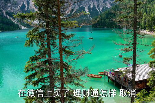 在微信上買了 理財(cái)通怎樣 取消
