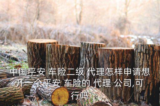 中國平安 車險(xiǎn)二級(jí) 代理怎樣申請想開一個(gè)平安 車險(xiǎn)的 代理 公司,可行嗎