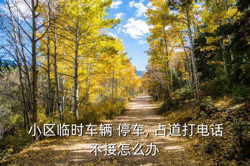  小區(qū)臨時(shí)車(chē)輛 停車(chē), 占道打電話不接怎么辦