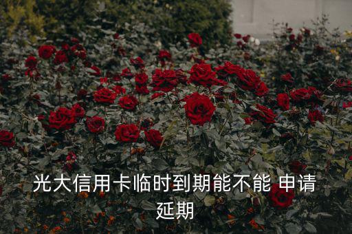  光大信用卡臨時(shí)到期能不能 申請 延期
