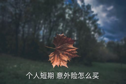 個(gè)人買(mǎi)意外險(xiǎn)怎么買(mǎi),買(mǎi)個(gè)人短線意外險(xiǎn)需要注意哪些事項(xiàng)?