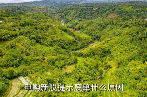 新股申購為什么是廢單，定價(jià)申購新股為什么總提示是廢單
