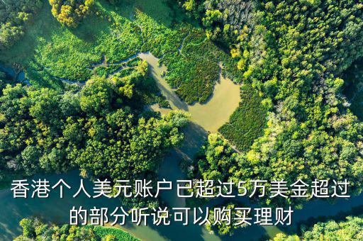美元在香港投資什么比較好，香港個(gè)人美元賬戶已超過5萬(wàn)美金超過的部分聽說可以購(gòu)買理財(cái)