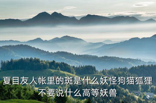 什么是棄風(fēng)限電，什么是理想非極化電極