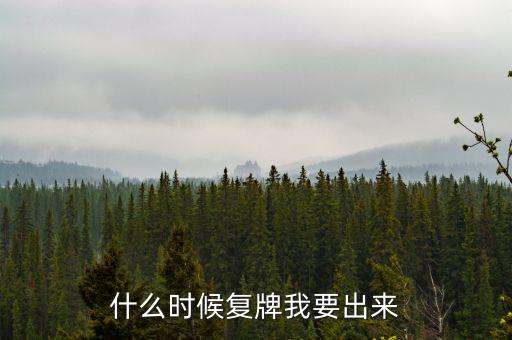什么時(shí)候復(fù)牌我要出來