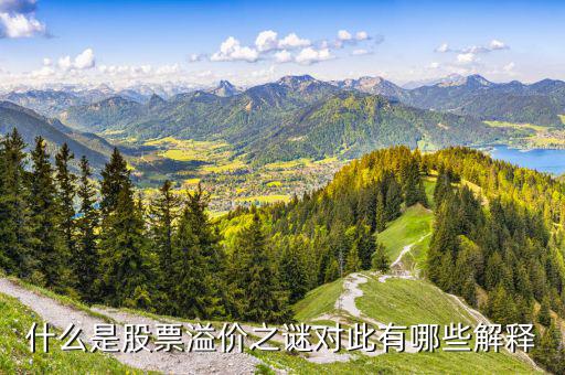 股票溢價(jià)是什么意思，什么是股票溢價(jià)之謎對(duì)此有哪些解釋