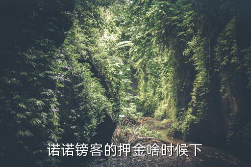 諾諾鎊客里的收本金額是什么，諾諾鎊客的押金啥時(shí)候下