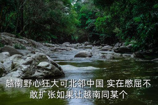 越南為什么那么狂，越南野心狂大可北鄰中國 實(shí)在憋屈不敢擴(kuò)張如果讓越南同某個