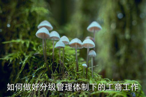 什么是分層分級(jí)管理，如何做好分級(jí)管理體制下的工商工作